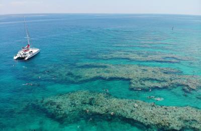 Key West Snorkeling Adventure Deals