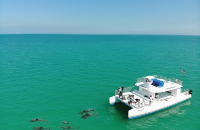 Dolphin Tour Adventure in Key West