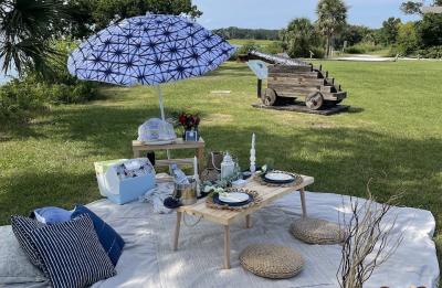 Élevé Events Luxury Picnics and Events--Plan Your Beautiful Island Picnic Today!