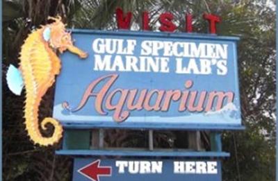 Gulf Specimen Marine Laboratory