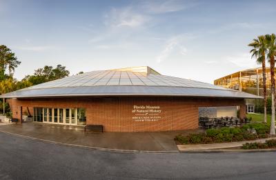 Florida Museum of Natural History Building
