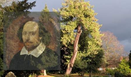 Shakespeare's natural world - talk and tour