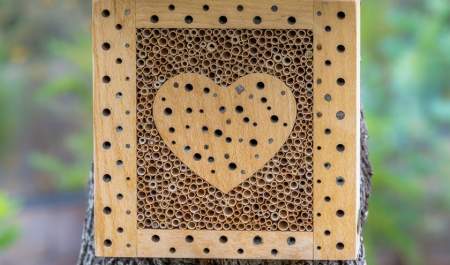 Love Bug Hotel