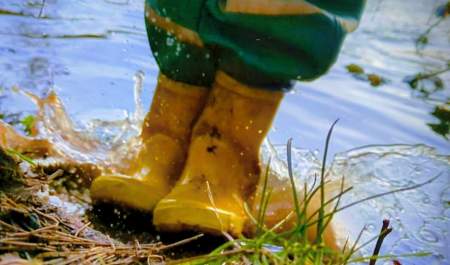 Splish, Splash, Science!