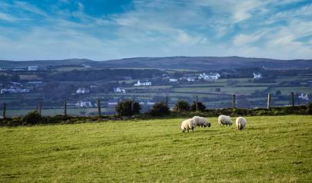 Sustainable Management of Manures: Tackling Nutrient Challenges in NI