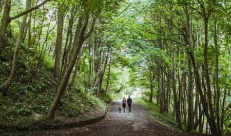Danes Dyke Nature Reserve