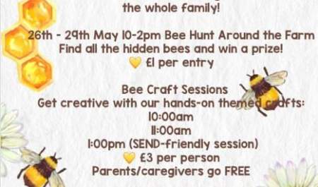 Bee - Themed Half Term Fun