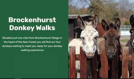 Brockenhurst Donkey Walks
