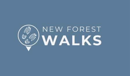 New Forest Walks