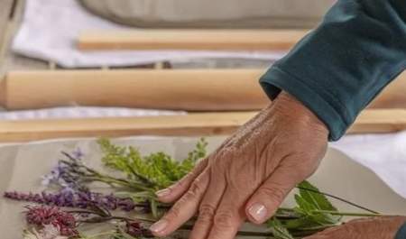 Botanical Plaster Casting Workshop