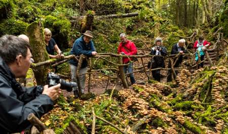 Forest of Dean Photography Experience