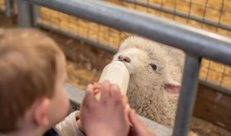 Bottle Feeding