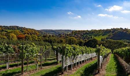 A Taste of the Undiscovered Cotswolds (Trade)