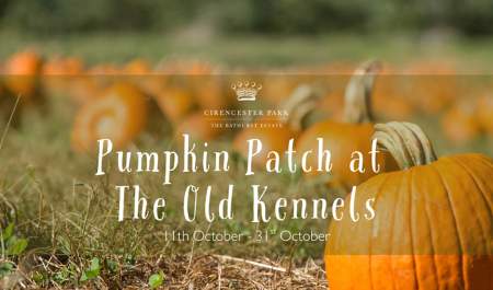 Pumpkin Patch at The Old Kennels