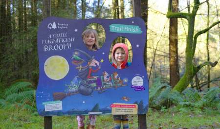 Room on the Broom trail at Westonbirt Arboretum