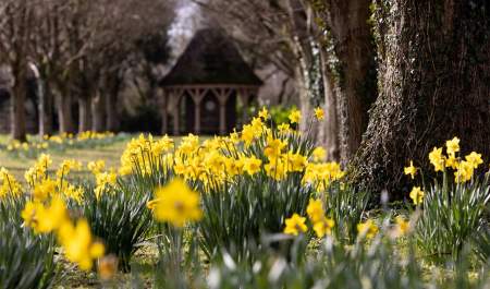 Spring Walks at Highgrove