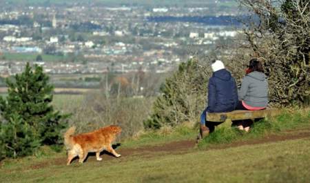 Leckhampton Hill and Charlton Kings Common
