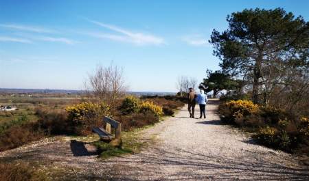 St Catherine's Hill Nature Reserve