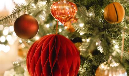 Christmas Lunch at Highgrove 2025