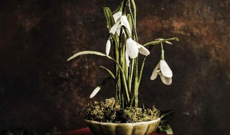 Making Wax Paper Snowdrops Workshop
