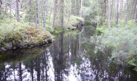 Fra hytte til hytte i Ulveholtet