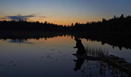 Fiske i Vansjø