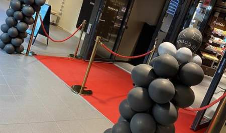 NF Kino Halden