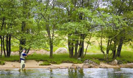 Bjerkreimselva