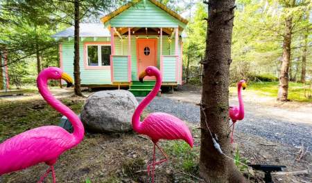 The Funny Farm - overnatting