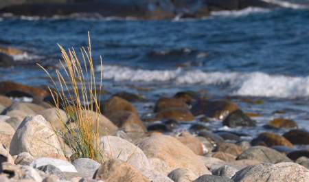 Welcome center in Arendal for Raet national park