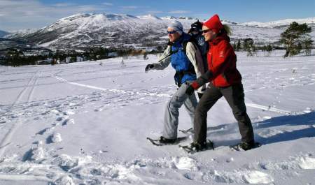Winter hiking trails and snowshoe rental