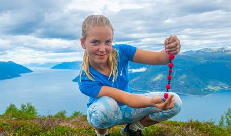 Norsk bringebærfestival, Vik