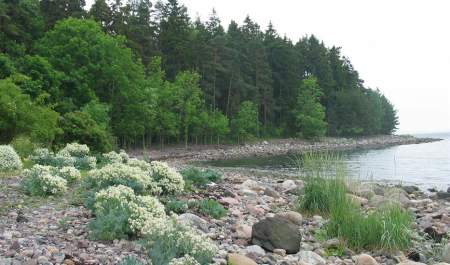 Vandretips: Vandring på Søndre Jeløy