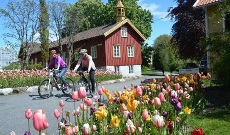 Experience RAET National Park in Grimstad on bike