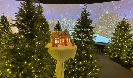 Pepperkakebygda på ViteMeir