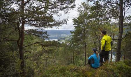 Tronåsen