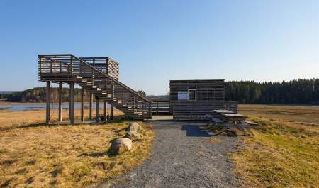 Fuglekikking: Dilleviktårnet