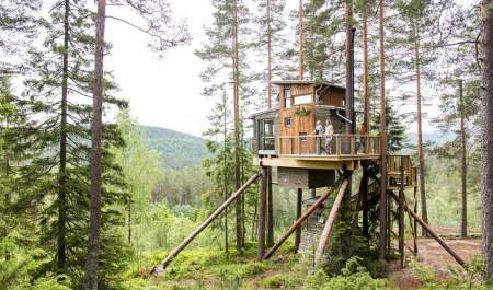 Trehyttene - Treetop cabins in Gjerstad