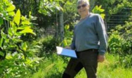 NOVEMBERFOREDRAG - Halden Hagelag