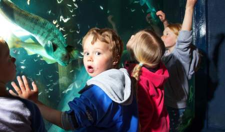 Risør Aquarium