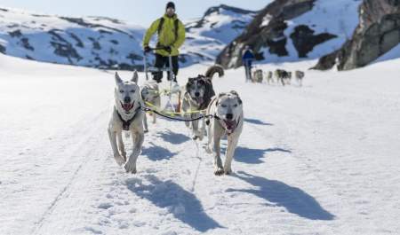 Sirdal Huskyfarm