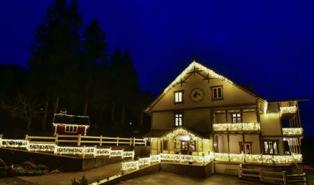 Bygdejolebord med live musikk