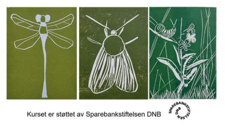 Grafikkurs for barn!