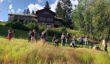 Ljå- og veteranfestival