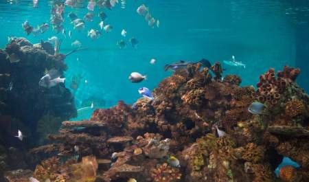 Hastings Aquarium