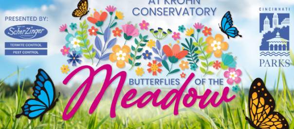 Butterflies of the Meadow