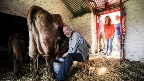 Muckross Traditional Farms