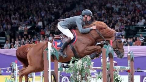 Horse of the Year Show
