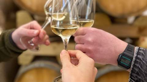 Tour and Tasting