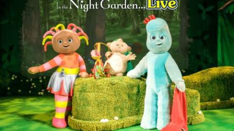 In The Night Garden